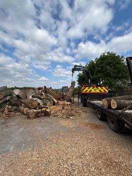 HMA Tree Care Log and Chip Yard