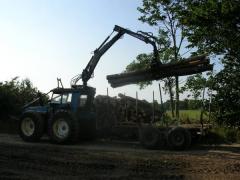 Picture 029