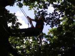 tree climbing, John 2