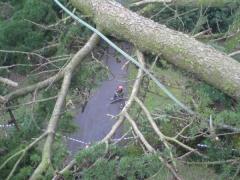 Wilbur Wang sharpens his tool