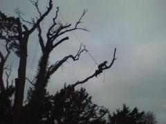 Kieran on a ragga tip