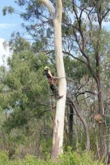 404440 312398198782875 1991077341 n