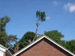 Just a bit off the top