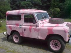 the ultimate pinkie!