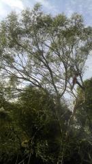 2012 02 14 10 46 04 712