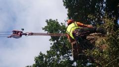 Big oak crane job.