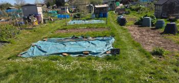 Plot 25 Dial Lane Allotments