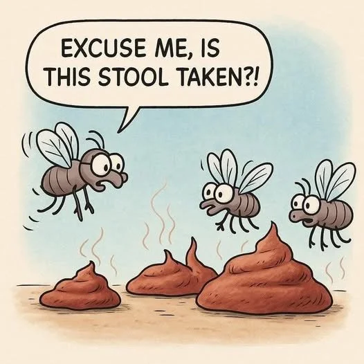 IMG_6236.png.b45a5837aad6f0c454dbf0ed442f1a4d.png