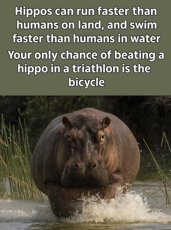 image.thumb.jpeg.52df4c685711e703d7e4eb5d49d8784e.jpeg