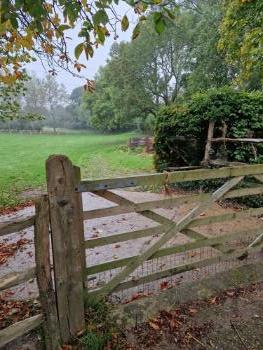Cowbeech farm