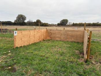 Roots Allotments Oxney views