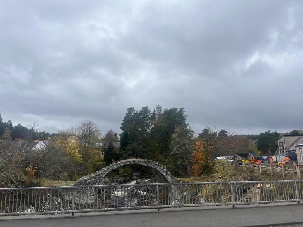 IMG_7386.jpeg