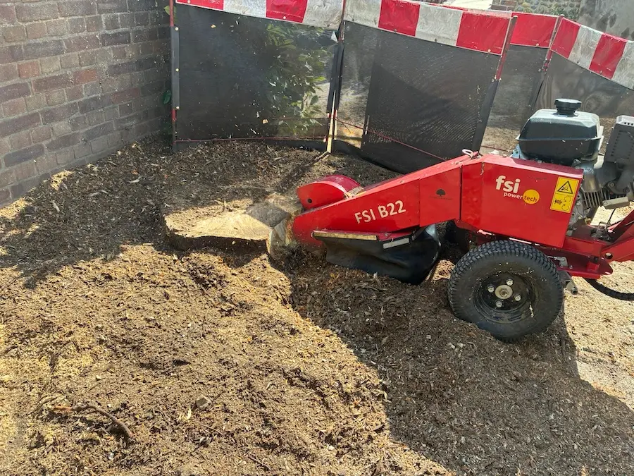 More information about "The Norfolk Arborist thrives with reliable stump grinding solutions from FSI"