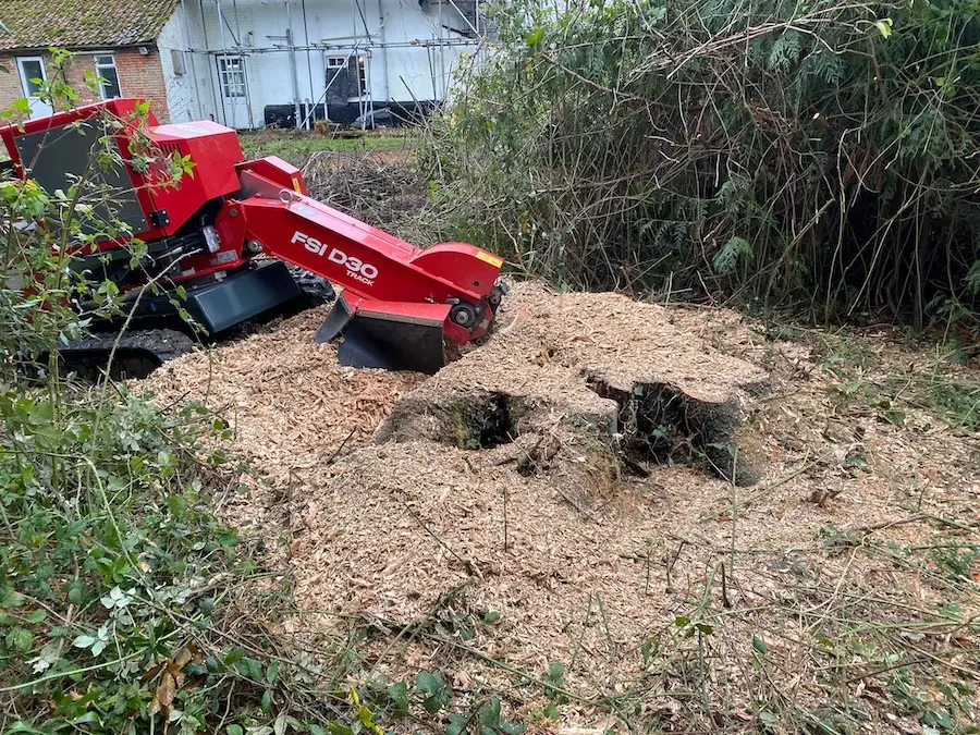 Norfolk Arborist 3.webp