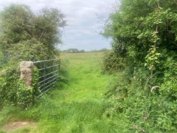 Rocky Valley Vineyard