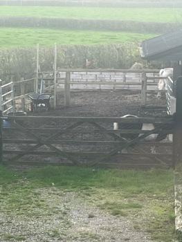 Brambledown ///respect.haggling.blazers 50.920804, -0.564104