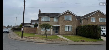 Grimsby Garden / Driveway