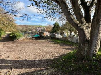 Hogg Platt allotments