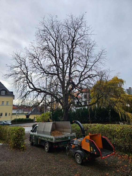 WhatsApp Image 2025-11-05 at 12.22.00_d9e1499c.jpg