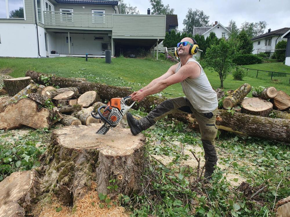 zac excalibur saw stihl ekorn oslo trefelling.jpg