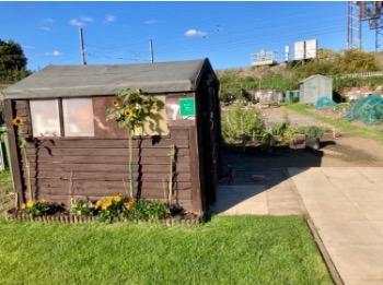 Paul’s allotment