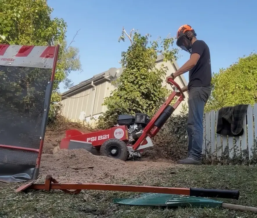 Hewitt Tree Surgery_large.webp