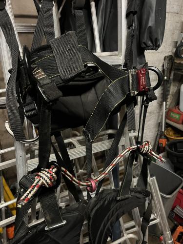 More information about "Monkey Beaver 2.0"