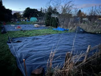 Peter Knight, Plot 39a Sutton Lane Allotment.