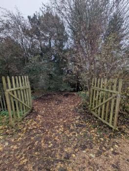 Treehoppers Forest Kindergarten BH