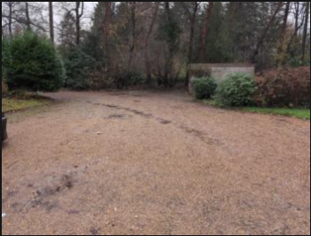 Elliot - Large Tip Site w/ Gratuity