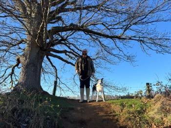 Toms firewood project