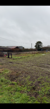 Mileham Allotment
