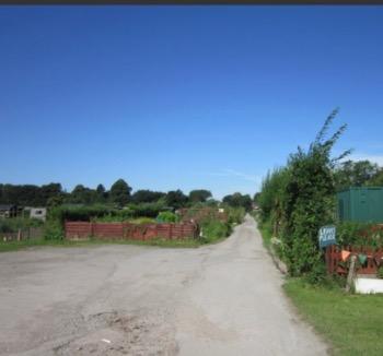 Newland Avenue Allotments