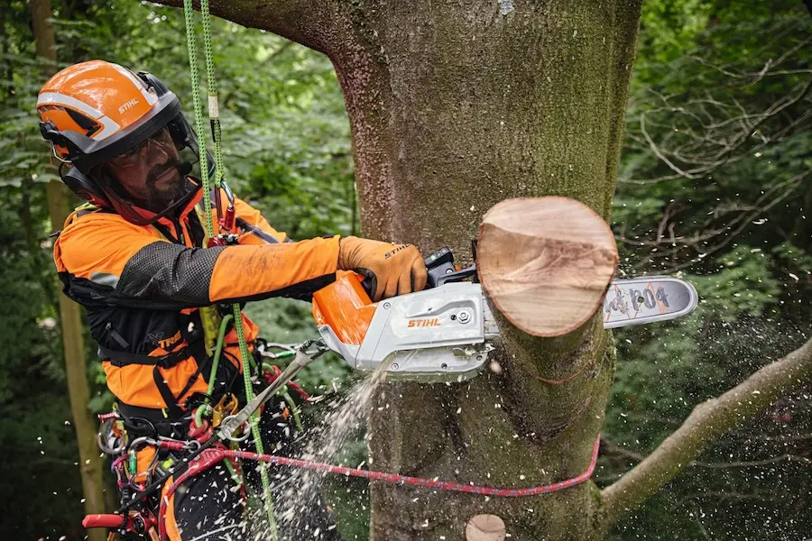 More information about "STIHL enhances user experience with new and improved top-handled chainsaw"