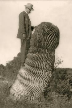 Western Road Allotments, Church Road Gate.