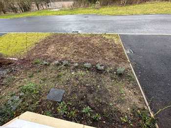 Suffocate the Weeds!