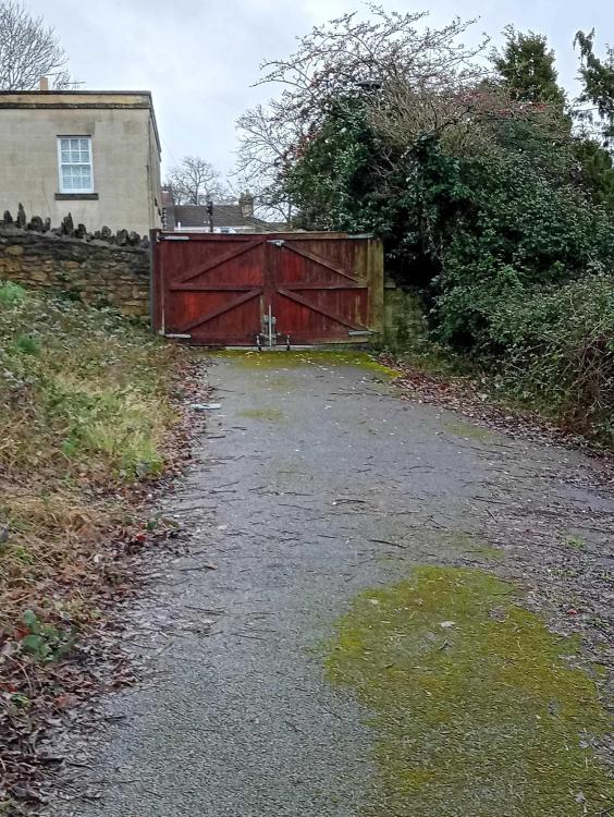 St. Stephens Church Primary School - wood chip tip 1.jpg