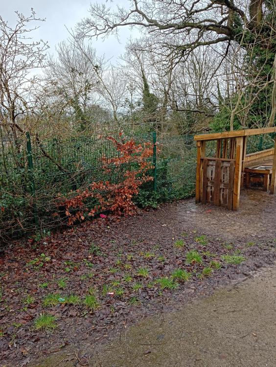 St. Stephens Church primary School - wood chip tip 2.jpg