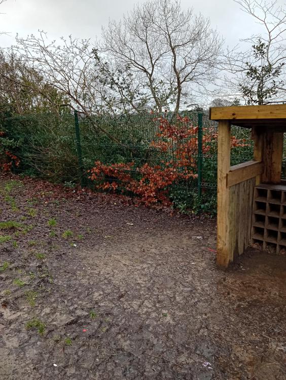 St. Stephens Church primary School - wood chip tip 3.jpg