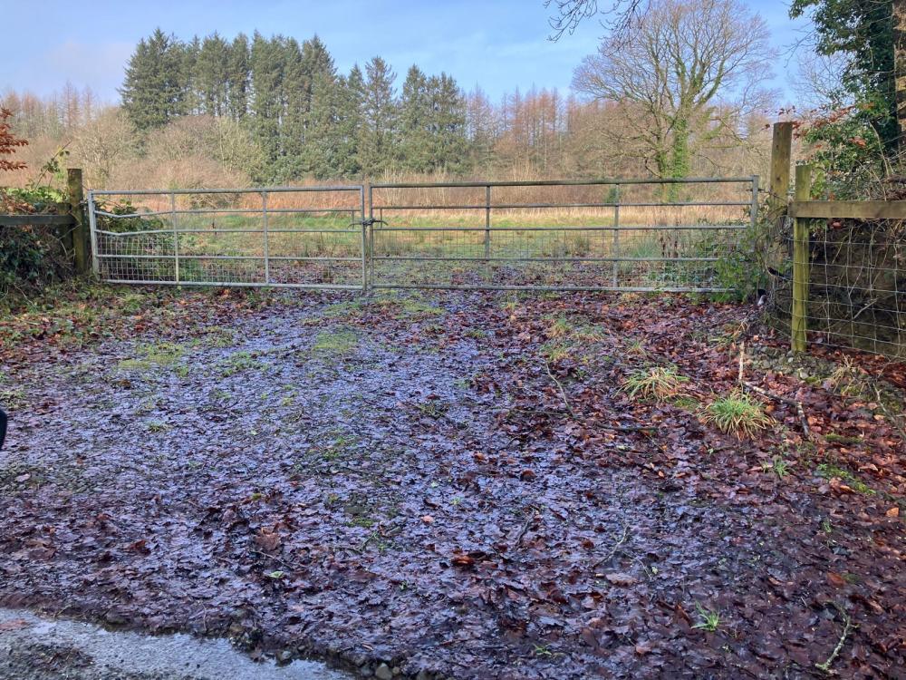 WhatsApp Image 2026-01-30 at 11.50.04.jpeg