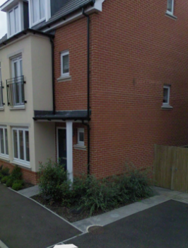 More information about "Sophie Tip site"