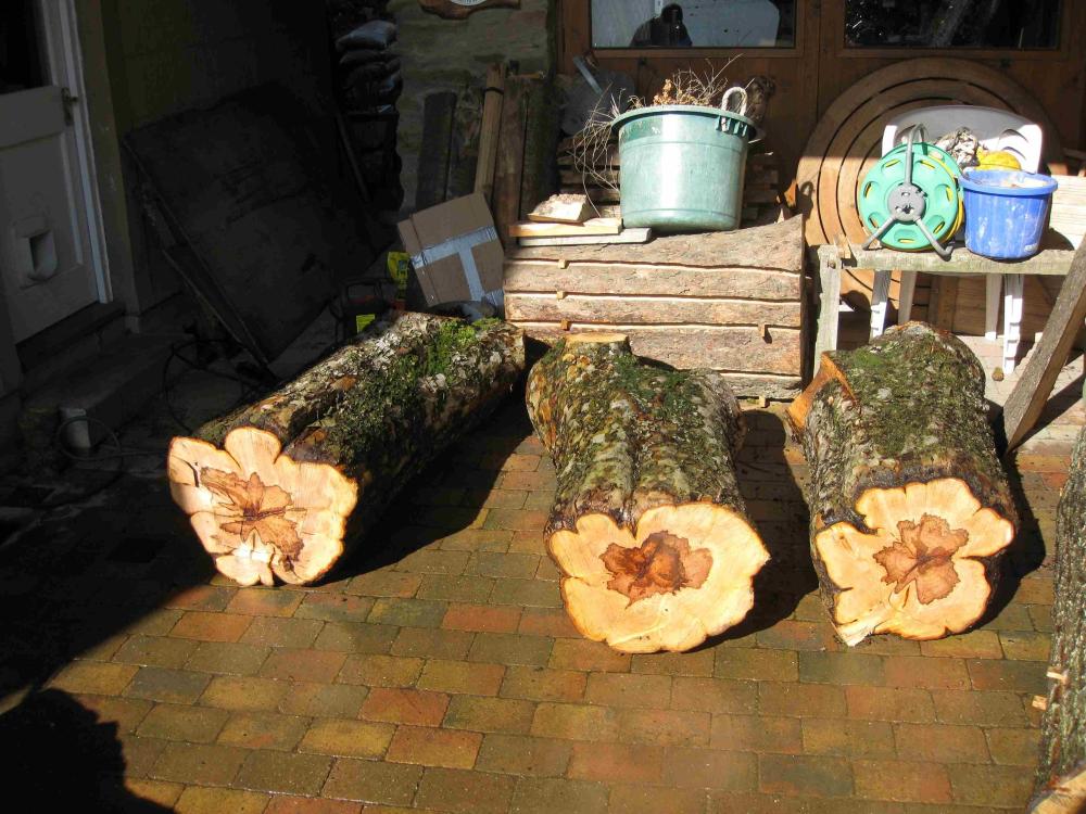 Threeapplelogs.thumb.JPG.9f6b252c6de267eb98125c4de8fbf2bb.JPG