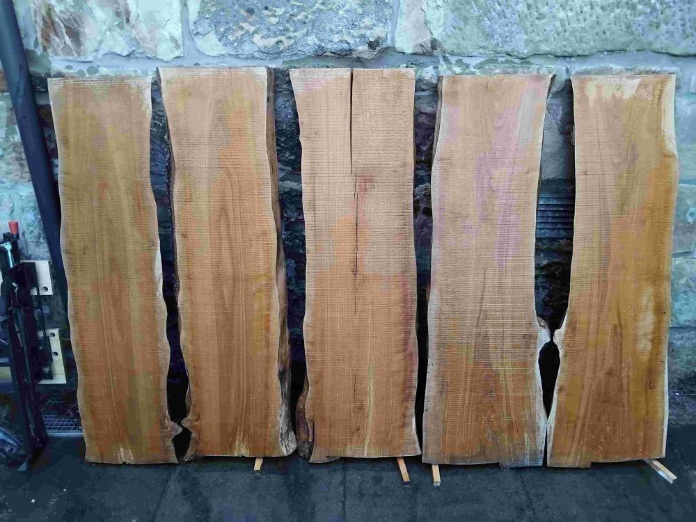 2ndcherrylog.thumb.jpg.20db1c275823d2be391aac44b4fa20aa.jpg