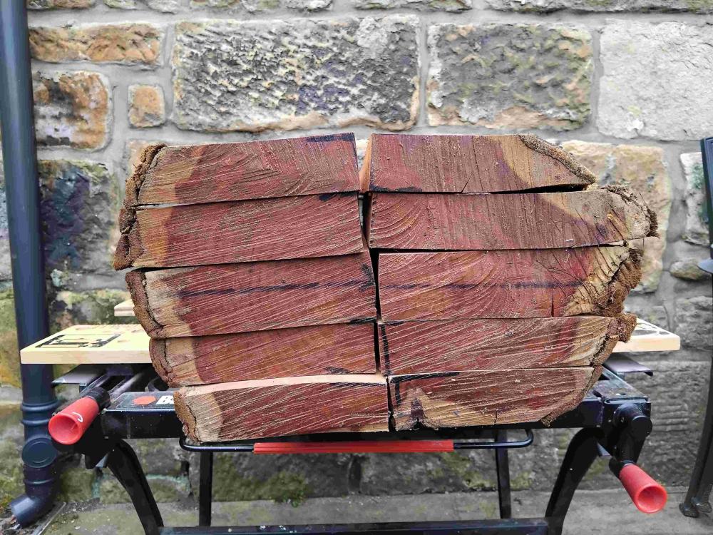 Endofplumlog.thumb.jpg.00e49cade6714f094b841db1faf44c0a.jpg