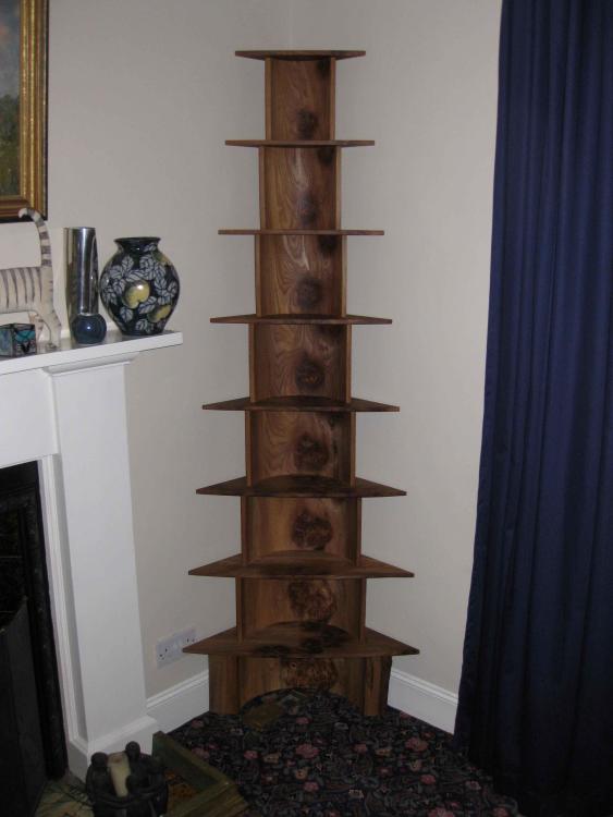 Familytreeshelves400kb.thumb.JPG.c5dbaee29680cf9fb0e86fbef8b3eaea.JPG