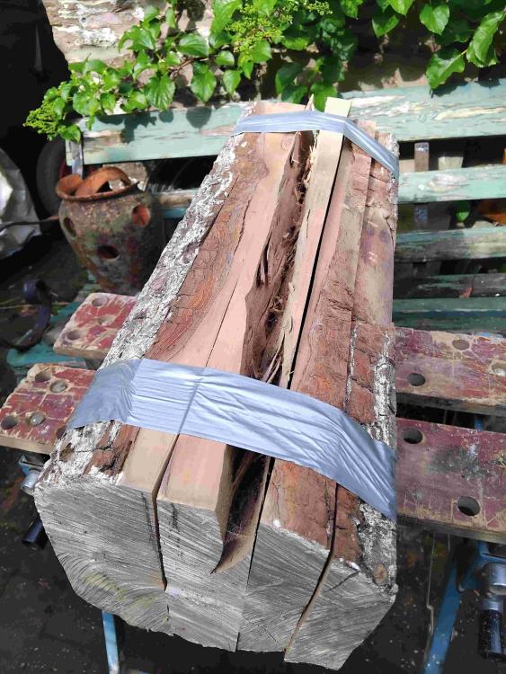 Pearlogsplit.thumb.jpg.8998836f50b697fb4295901bff114d08.jpg