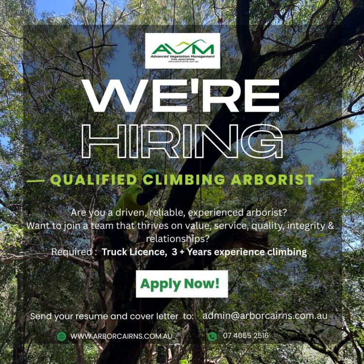 Qualified Arborist.jpg