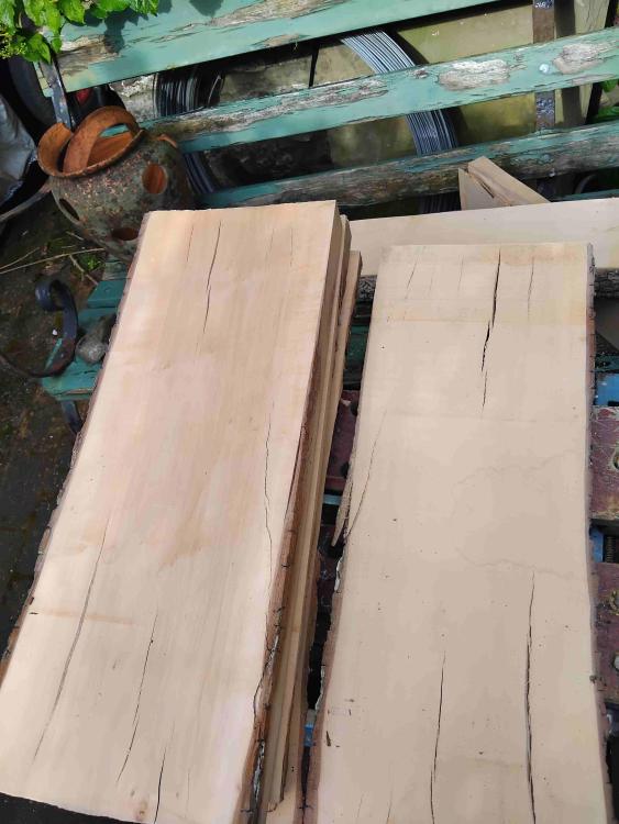 Splitsinpearplank1.thumb.jpg.1971fd59a80779369f01ad03456158cf.jpg