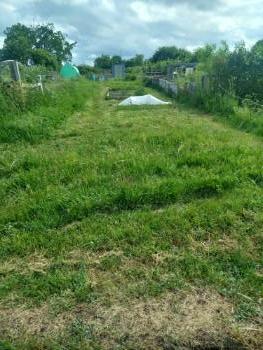plot 101 Northumberland road allotments